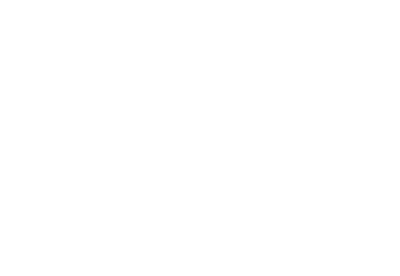 MPO100
